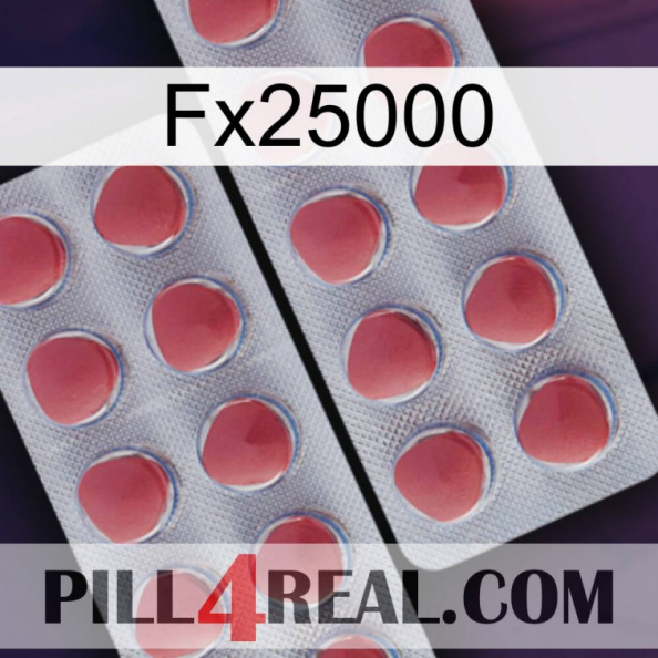 Fx25000 19.jpg